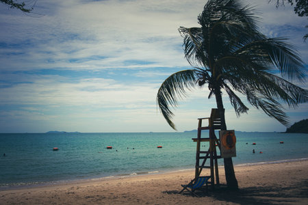 Summer background. tropical sea and beach with rescue ring  hanging on coconut treeの写真素材