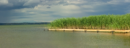 Green  foreland of Lakeの写真素材