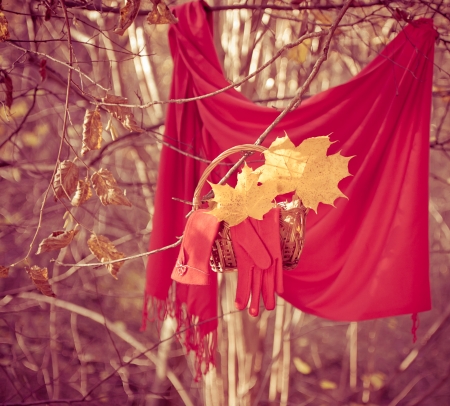 Red accessories  gloves, scarf  in the autumn parkの写真素材
