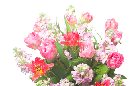bouquet of pink tulips with Matthiola incanaの写真素材