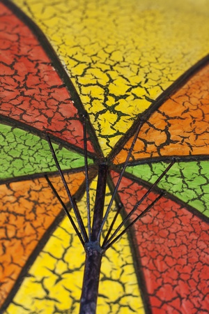 Parasolの写真素材