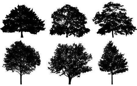treesilhouettes 1のイラスト素材