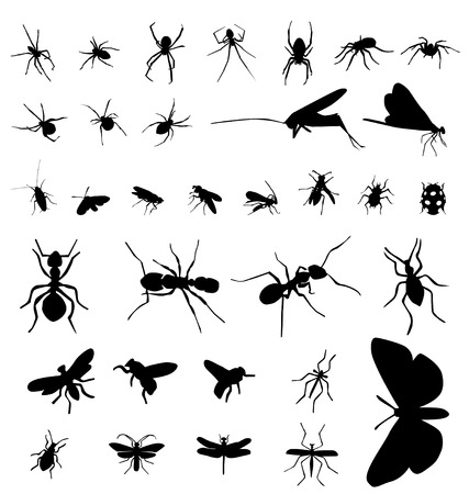 insect silhouettesのイラスト素材