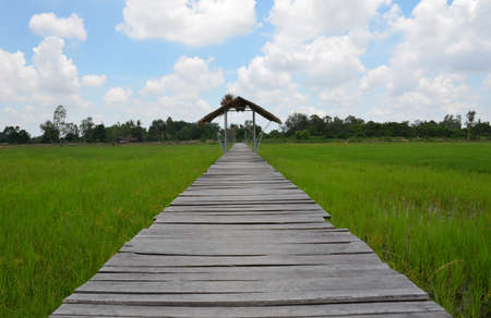 A hut to live in while watching fields or gardenの写真素材