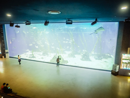 Jeju Island, Korea - November 13, 2016 : The tourist visited Hanwah Aqua Planet Jeju, located nearby Seopjikoji and offers versitle features, including an aquarium as the main attraction, Marine Science, Kiz Planet and many more convenience facilities.のeditorial素材