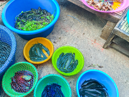 Fresh fishes in a market, Ubon Ratchatani, Thailandの写真素材