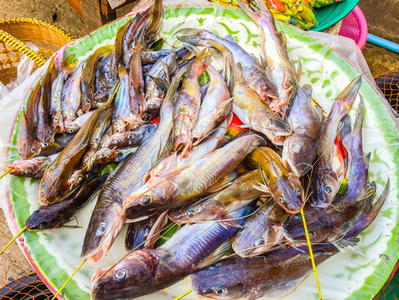 Fresh fishes in a market, Ubon Ratchatani, Thailandの写真素材