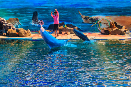 Chanthaburi, Thailand - May 5, 2015: Trainer is teaching the dolphin to jumping shows in the swimming pool at Oasis Sea World, Thai Fantastic Dolphinarium in Chanthaburi ,Thailand.のeditorial素材