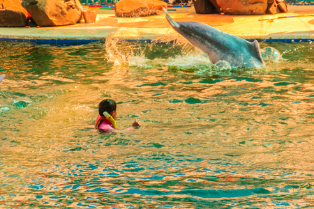 Chanthaburi, Thailand - May 5, 2015: Trainer is teaching the dolphin to jumping shows in the swimming pool at Oasis Sea World, Thai Fantastic Dolphinarium in Chanthaburi ,Thailand.のeditorial素材