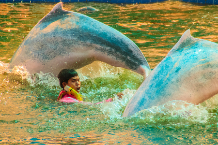 Chanthaburi, Thailand - May 5, 2015: Trainer is teaching the dolphin to jumping shows in the swimming pool at Oasis Sea World, Thai Fantastic Dolphinarium in Chanthaburi ,Thailand.のeditorial素材