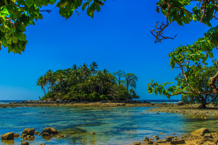 Lonely remote island with rock beach and tree when the sea water receded in blue sky and cloudy day backgroundの写真素材
