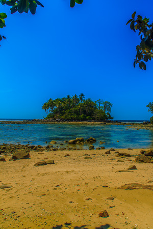 Lonely remote island with rock beach and tree when the sea water receded in blue sky and cloudy day backgroundの写真素材
