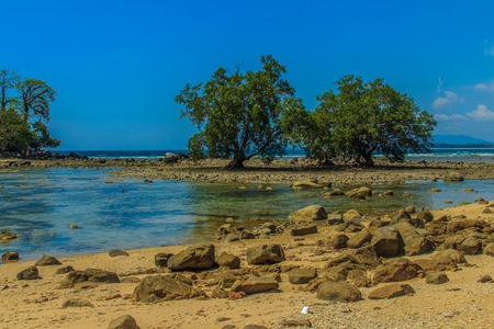 Lonely remote island with rock beach and tree when the sea water receded in blue sky and cloudy day backgroundの写真素材