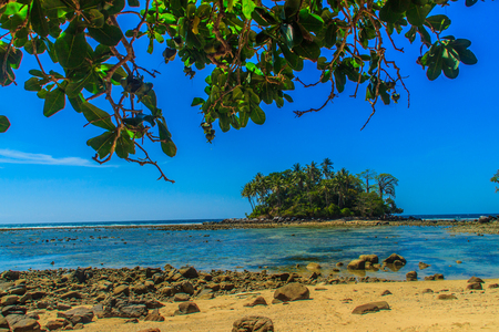 Lonely remote island with rock beach and tree when the sea water receded in blue sky and cloudy day backgroundの写真素材