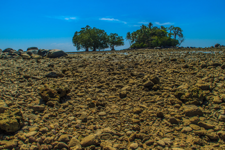 Lonely remote island with rock beach and tree when the sea water receded in blue sky and cloudy day backgroundの写真素材