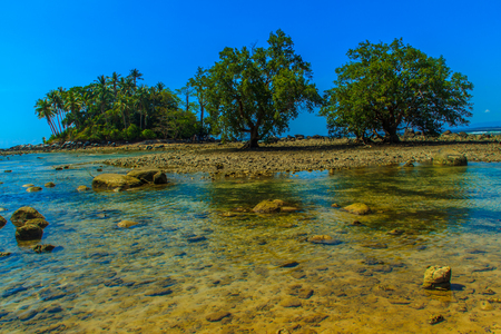 Lonely remote island with rock beach and tree when the sea water receded in blue sky and cloudy day backgroundの写真素材