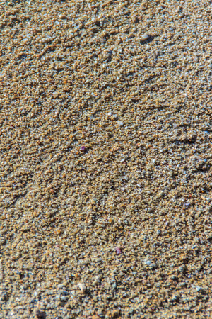Sand on the beach for background and textureの写真素材