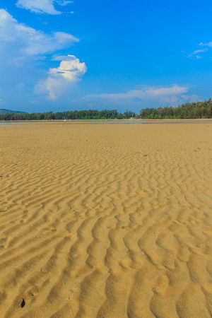 Exotic and beautiful wave pattern on the sand in the beach after sea water receded.の写真素材