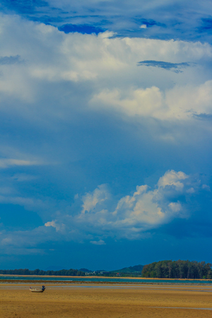 Beautiful nature of pine trees and forest on the beach with the sea, mountain and blue sky backgroundの写真素材