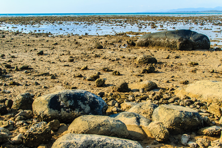Beautiful rock stones on the beach when the sea water receded with dramatic blue sky background on the cloudy day.の写真素材