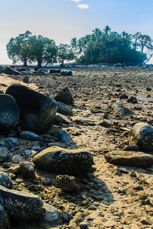 Lonely remote island with rock beach and tree when the sea water receded in blue sky and cloudy day backgroundの写真素材
