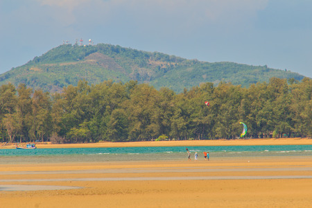 Beautiful nature of pine trees and forest on the beach with the sea, mountain and blue sky backgroundの写真素材