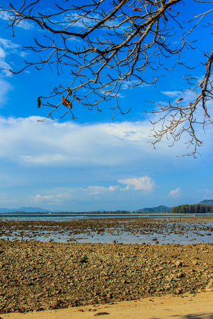 Beautiful rock stones on the beach when the sea water receded with dramatic blue sky background on the cloudy day.の写真素材