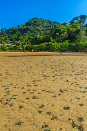 Exotic and beautiful wave pattern on the sand in the beach after sea water receded.の写真素材