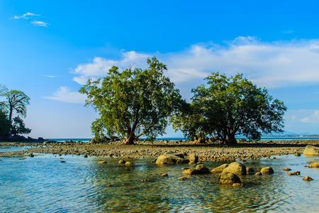 Lonely remote island with rock beach and tree when the sea water receded in blue sky and cloudy day backgroundの写真素材