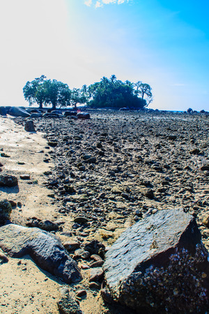 Lonely remote island with rock beach and tree when the sea water receded in blue sky and cloudy day backgroundの写真素材