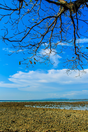 Beautiful rock stones on the beach when the sea water receded with dramatic blue sky background on the cloudy day.の写真素材