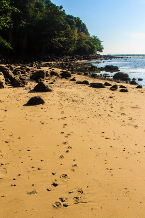 Close up of footprints on the beachの写真素材
