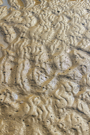Exotic and beautiful wave pattern on the sand in the beach after sea water receded.の写真素材