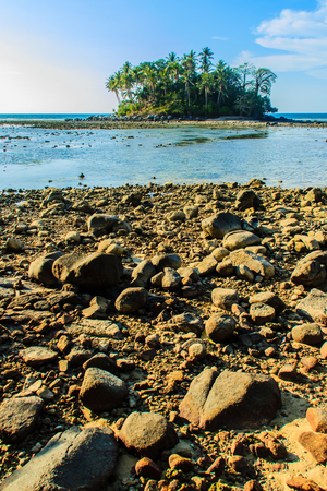 Lonely remote island with rock beach and tree when the sea water receded in blue sky and cloudy day backgroundの写真素材
