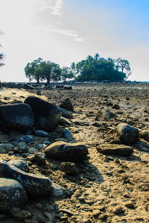 Lonely remote island with rock beach and tree when the sea water receded in blue sky and cloudy day backgroundの写真素材