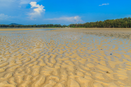 Exotic and beautiful wave pattern on the sand in the beach after sea water receded.の写真素材