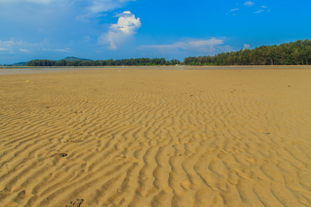 Exotic and beautiful wave pattern on the sand in the beach after sea water receded.の写真素材