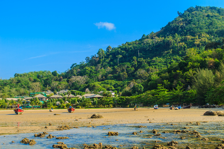 Beautiful nature of pine trees and forest on the beach with the sea, mountain and blue sky backgroundの写真素材