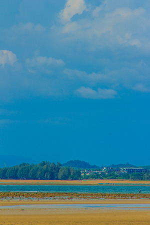Beautiful nature of pine trees and forest on the beach with the sea, mountain and blue sky backgroundの写真素材