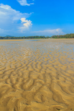 Exotic and beautiful wave pattern on the sand in the beach after sea water receded.の写真素材