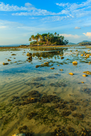 Lonely remote island with rock beach and tree when the sea water receded in blue sky and cloudy day backgroundの写真素材