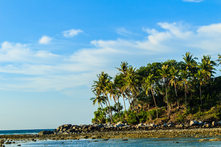 Lonely remote island with rock beach and tree when the sea water receded in blue sky and cloudy day backgroundの写真素材