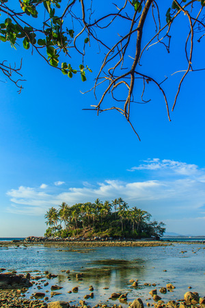 Lonely remote island with rock beach and tree when the sea water receded in blue sky and cloudy day backgroundの写真素材