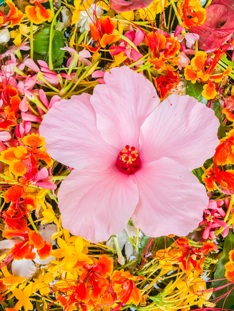 Colorful Flower petals floating in the bowl for Songkran festival in Thailandの写真素材