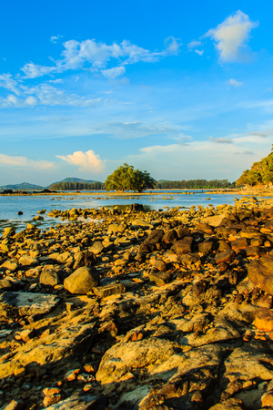 Lonely remote island with rock beach and tree when the sea water receded in blue sky and cloudy day backgroundの写真素材