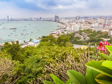 Beautiful of Pattaya bay view on Pratamnak Hill with blue sky background and the flower foreground. Pattaya city is famous about sea sport and night life entertainment.の写真素材