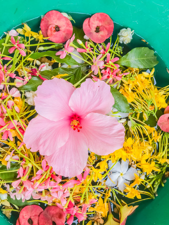 Colorful Flower petals floating in the bowl for Songkran festival in Thailandの写真素材