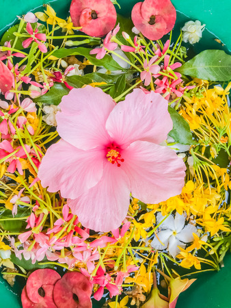 Colorful Flower petals floating in the bowl for Songkran festival in Thailandの写真素材