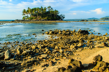 Lonely remote island with rock beach and tree when the sea water receded in blue sky and cloudy day backgroundの写真素材