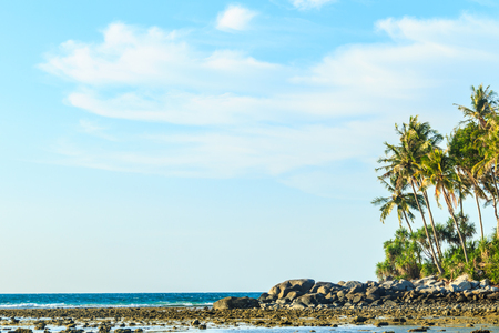 Lonely remote island with rock beach and tree when the sea water receded in blue sky and cloudy day backgroundの写真素材